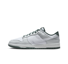 Nike Dunk Low Retro SE (HF2874 001) in grau