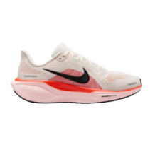 Nike Pegasus 41 (FD2723-011)