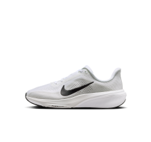 Nike Pegasus 42 (IH2306-101)