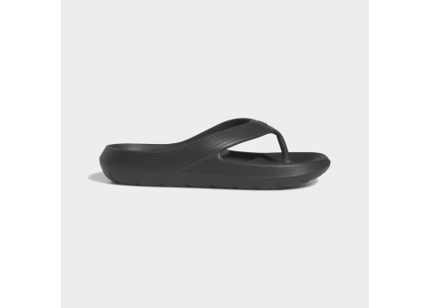 adidas Adicane Flip Flop (HQ9921) grau