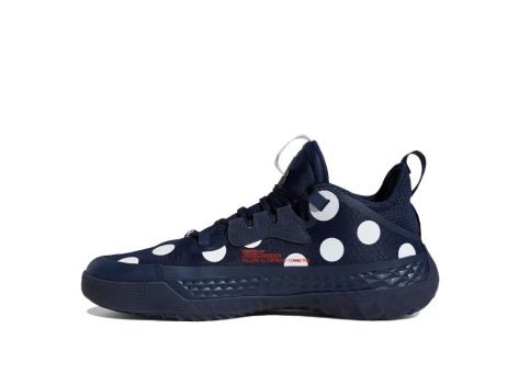 adidas Harden Vol. 5 Futurenatural Polka (GW2955) blau