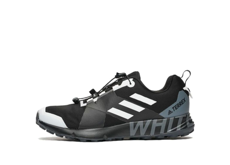 adidas Mountaineering x Terrex TWO GTX (DB3006) schwarz