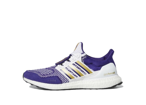 adidas NCAA x UltraBoost 1.0 Washington (HQ5867) bunt