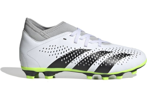 adidas Predator Accuracy.4 s fxg (IE9496) schwarz