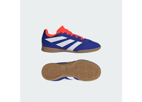 adidas Predator Club Sala IN (IF6417) blau