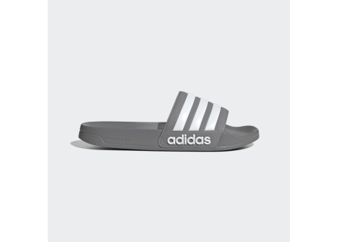 adidas Shower adilette (GY1891) grau