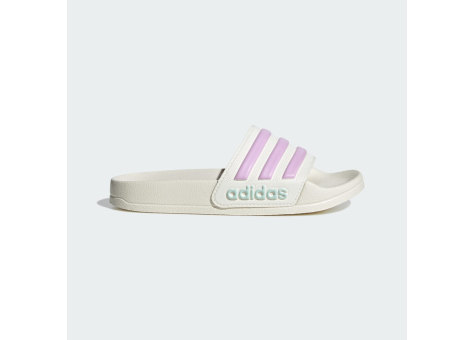 adidas Shower Adilette (JP5784) beige