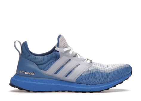 adidas Katie Ledecky x UltraBoost 2.0 DNA (GX3982) bunt