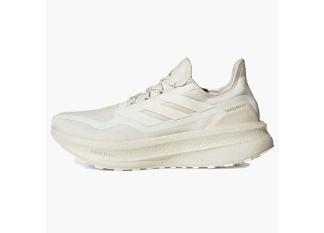 adidas Ultra Boost 5 Off Gore tex (JI1385) beige