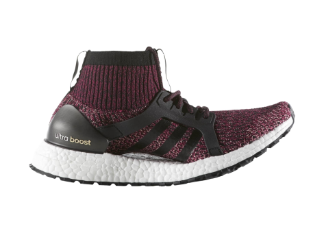 adidas UltraBoost X Terrain All ATR (BY1678) bunt