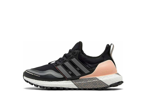 adidas UltraBoost Guard (FU9465) bunt