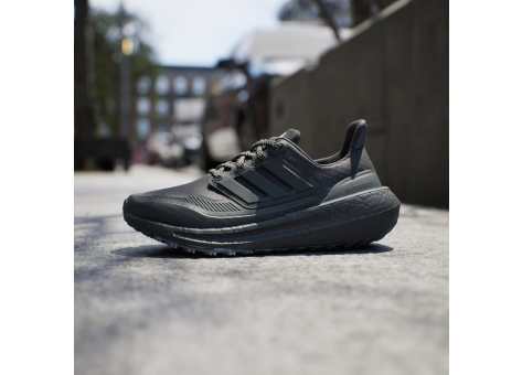 Adidas ultra hotsell boost 2.0 schwarz