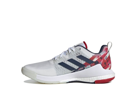 adidas Crazyflight (EH2580) bunt