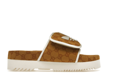 adidas Gucci x Slide (IE2276) braun