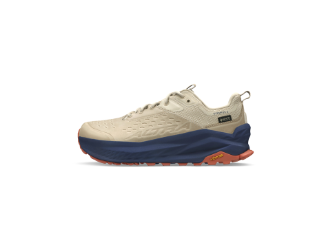 Altra Olympus 6 Hike Low Gore tex (AL0A85NN921) braun