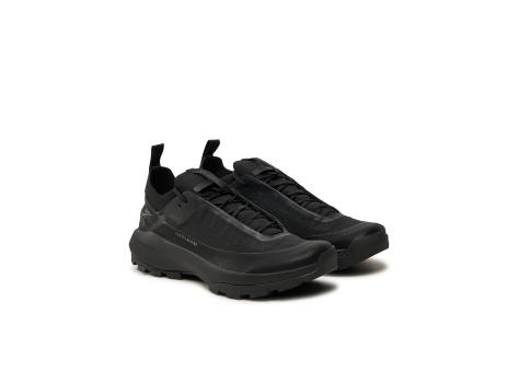 Arcteryx Alpine GORE TEX (X000009602-021572) schwarz