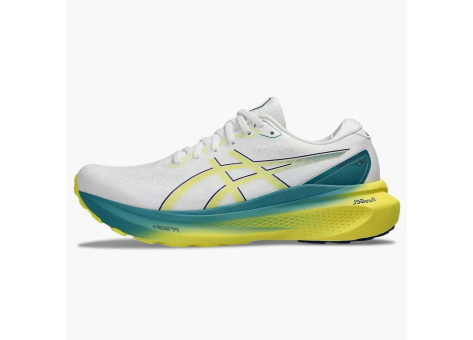 Asics Gel Kayano 30 (1011B548 101) bunt