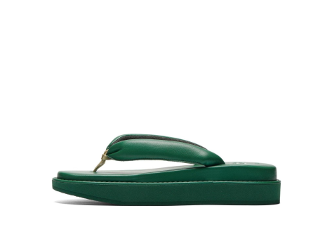 Asics Tiger Setta NM Edible Moss (1183C318-300) grün