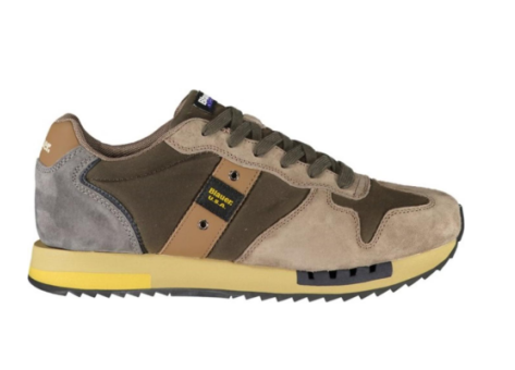 Blauer USA QUEEN (F5QUEENS01/WAX) bunt