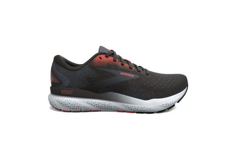 Brooks Ghost 16 (110418-1D-066) braun