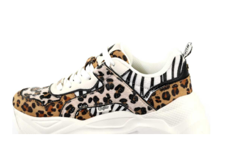 Buffalo Bliss (1636480) bunt