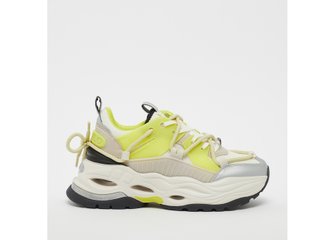 Buffalo Triplet Lace (1630924) bunt