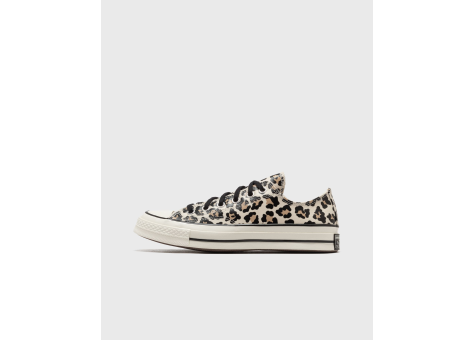 Converse Ox Glow In The Dark Chuck 70 Leopard Print (A15033C) bunt