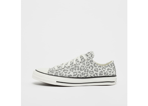 Converse Chuck Taylor All Star (A15053C) bunt