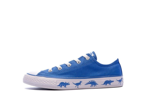 Converse Chuck Taylor All Star Canvas (663670C) blau