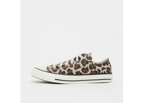 Converse Chuck Taylor All Star OX (A16591C) bunt