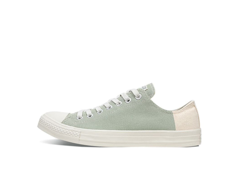 Converse Chuck Taylor All Star Low Light (160474C) bunt