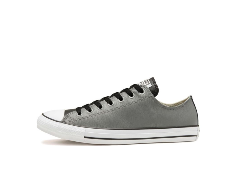 Converse Chuck Taylor All Star Silver Grey (168542C) grau
