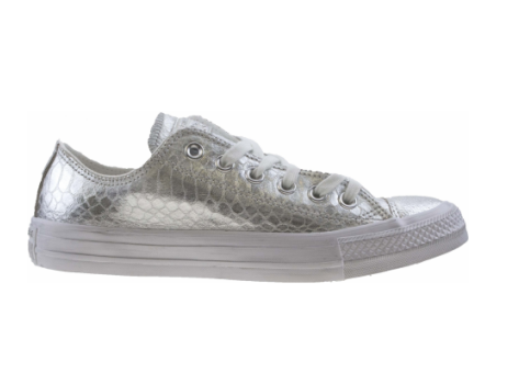 Converse Chuck Taylor All Star Sneaker Damen Schuhe silber weiß (542440C-040) grau