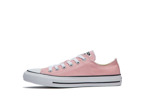 Converse CTAS OX COASTAL (164936C) pink