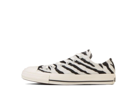 Converse Zebrafur Ox (31310380) bunt
