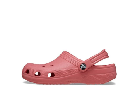 Crocs Classic Clogs Hot Blush (10001-6XF) pink