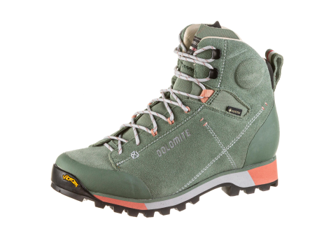 Dolomite 54 Hike Evo Shoe Ws GTX (289209-1347) grün