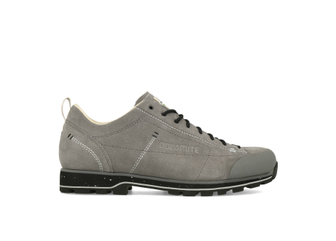 Dolomite 54 Low Evo (289205-1605) grau