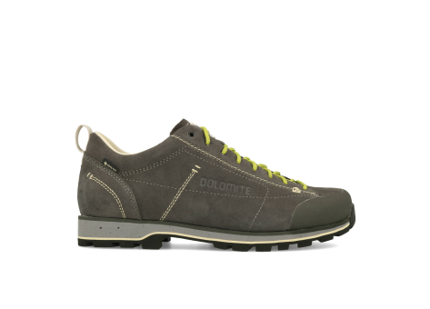 Dolomite 54 Low Evo GTX (423963-0226) grau