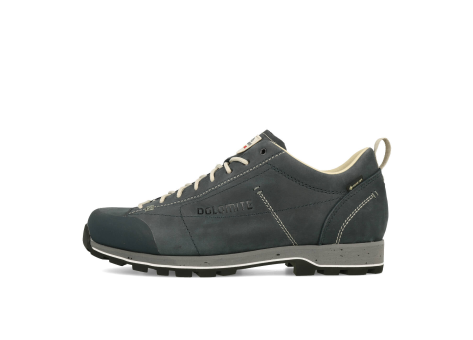 Dolomite 54 Low Fg Evo GTX (292530-0160) blau