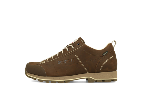 Dolomite 54 Low Fg Evo GTX (292530-0300) braun