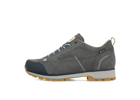 Dolomite 54 Low Fg Evo GTX (292534-0158) blau