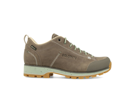 Dolomite 54 Low Fg Evo GTX (292534-1076) braun