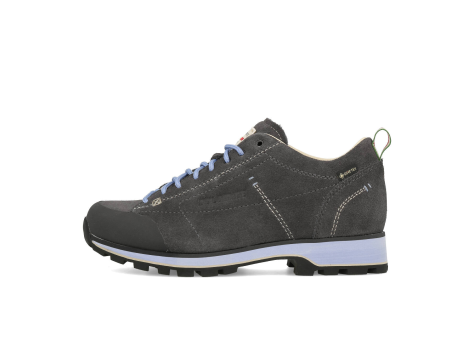 Dolomite Shoe 54 Low GTX (420081-0937) grau