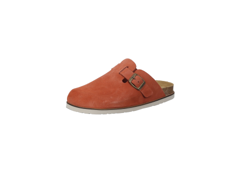 Dr. Brinkmann NERPIO (600116-62) orange