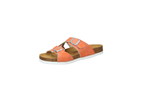 Dr. Brinkmann XALO (700575-62) orange