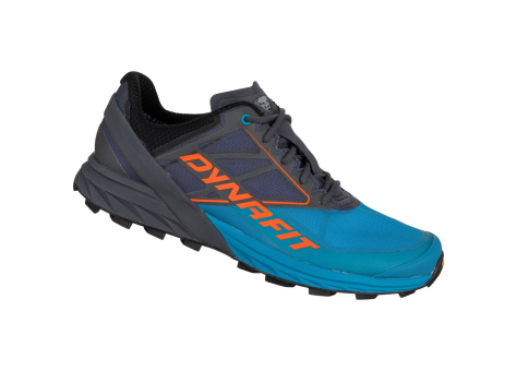 Dynafit Alpine (64064-0752) bunt