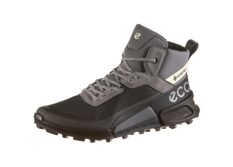 Ecco Biom 2.1 X Mountain MID GTX (823803-50598) schwarz