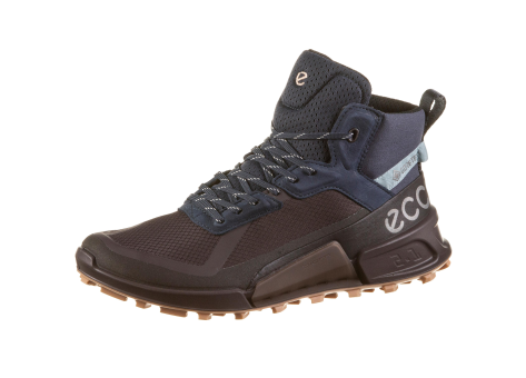 Ecco Biom 2.1 X Mountain MTN W MID GTX (823803-52169) schwarz