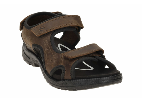 Ecco Sandale (532304-02482) braun